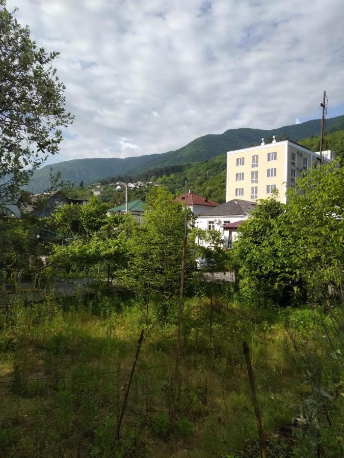 Na Shapsug Guest House Gagra Exteriör bild
