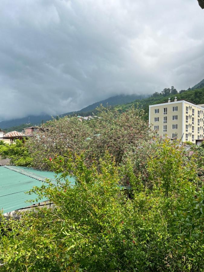 Na Shapsug Guest House Gagra Exteriör bild