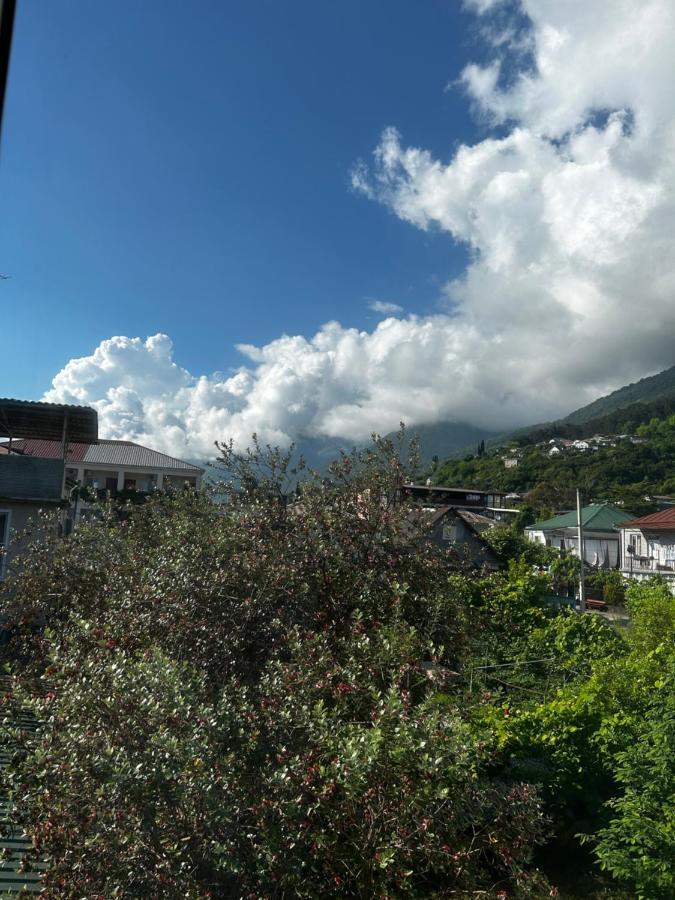 Na Shapsug Guest House Gagra Exteriör bild