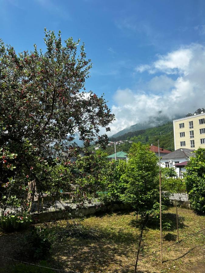 Na Shapsug Guest House Gagra Exteriör bild